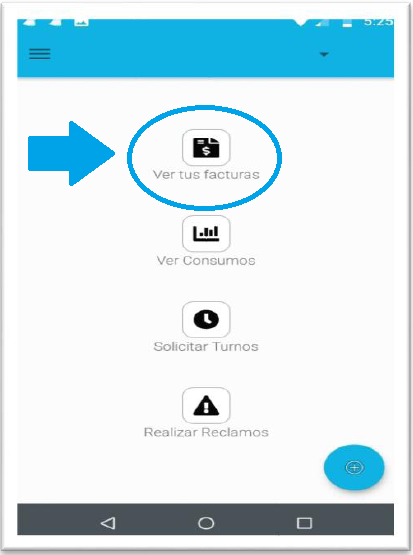 ver_facturas_app_01
